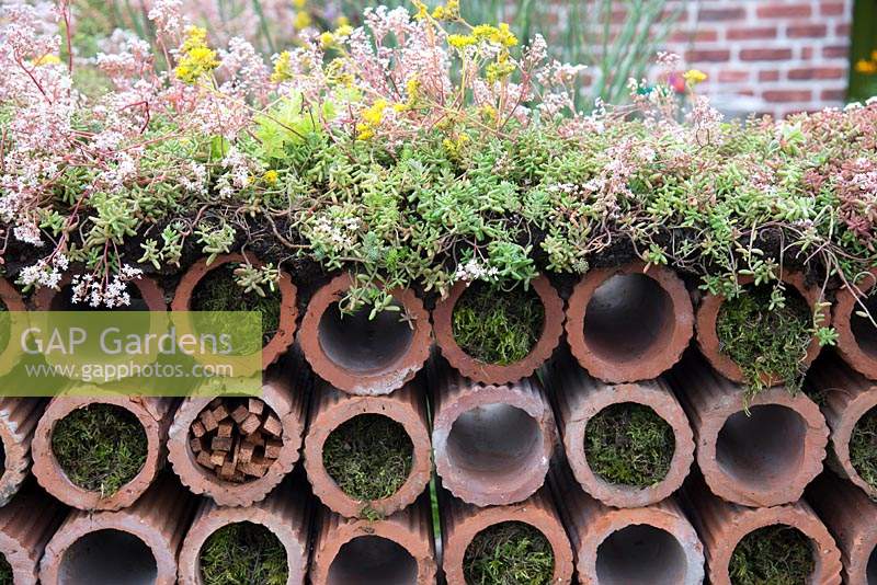 Mur de tuyaux de drainage en argile, avec album Sedum et mousse dans le Very Hungry Caterpillar Garden, RHS Tatton Park Flower Show, 2019.