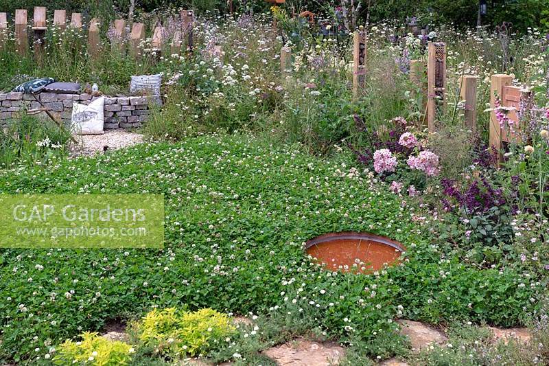 Pelouse de trèfle avec petit étang et banc incurvé en pierre sèche soutenu par une palissade en bois, poteaux de clôture avec des hôtels d'insectes dans un jardin semi-sauvage. RHS Hampton Court Festival 2019.