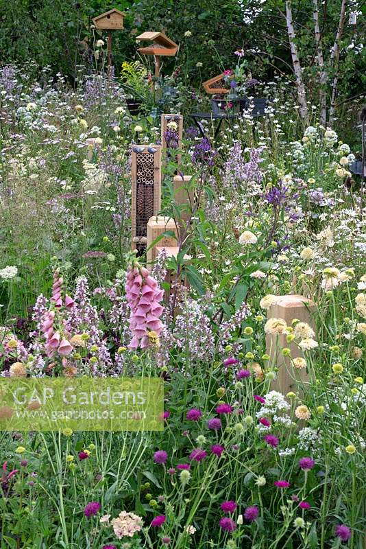 Poteaux de clôture avec des hôtels d'insectes le long du parterre de fleurs vivaces. RHS Hampton Court Festival 2019.