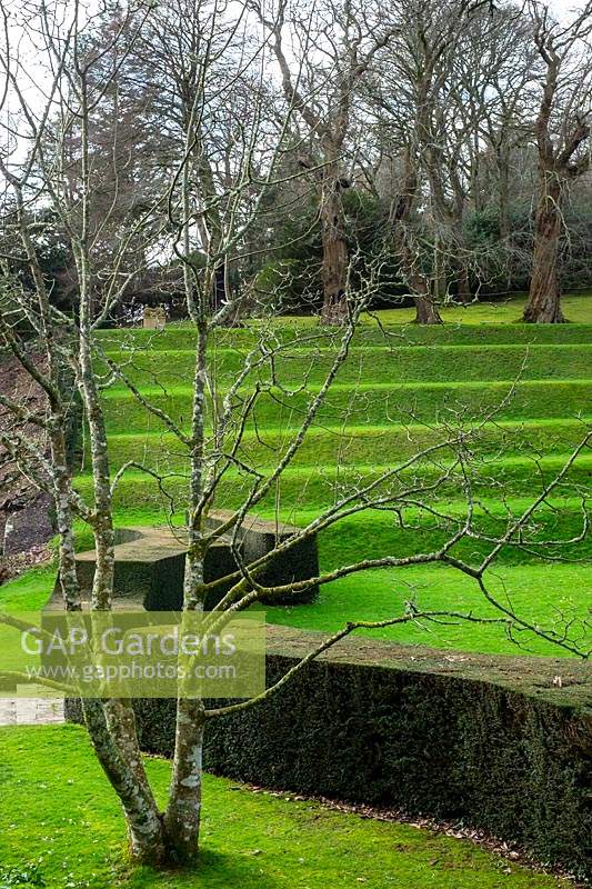 Jardins de Dartington Hall, près de Totnes, Devon, printemps.