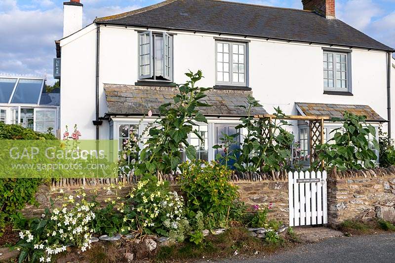 L'ancienne maison en pierre, Beesands, South Devon. Le jardin avant du jardin du chalet en bord de mer.