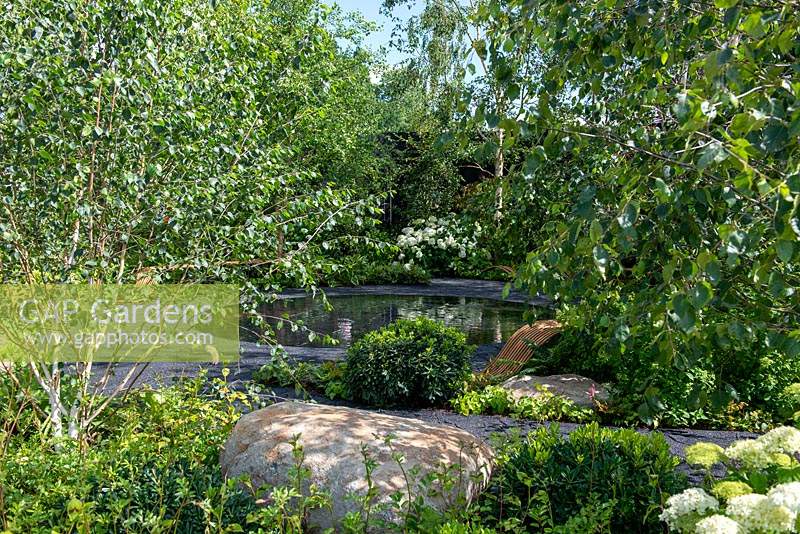 Lumière tachetée tombant sur une piscine circulaire entourée de plantations vertes - Le Smart Meter Garden, RHS Hampton Court Palace Flower Festival 2019