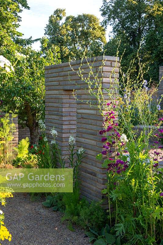 Cloisons en brique de pavé belge avec plantation de plantes herbacées vivaces, y compris Malva - Le jardin du sanctuaire RHS, RHS Hampton Court Palace Flower Festival 2019