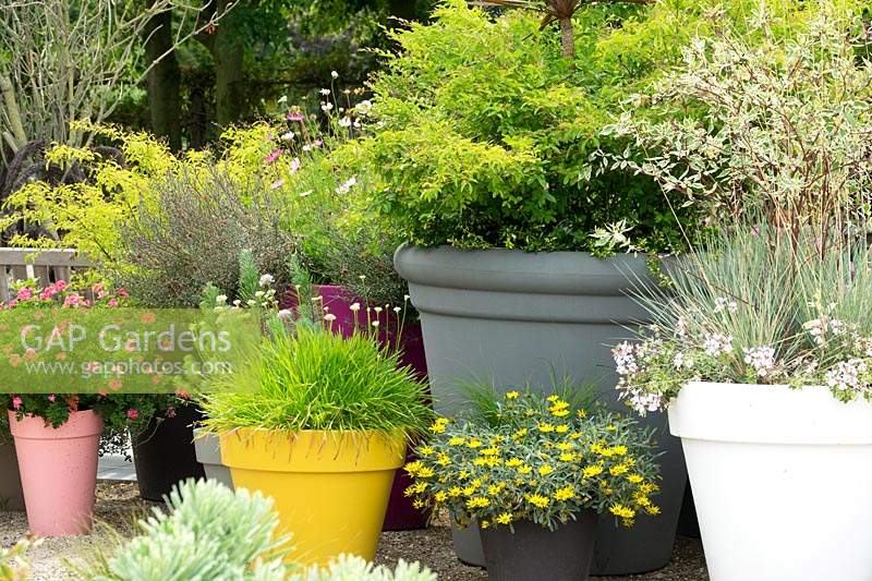 Affichage de pots de différentes couleurs, chacun planté de plantes à feuillage ou à fleurs