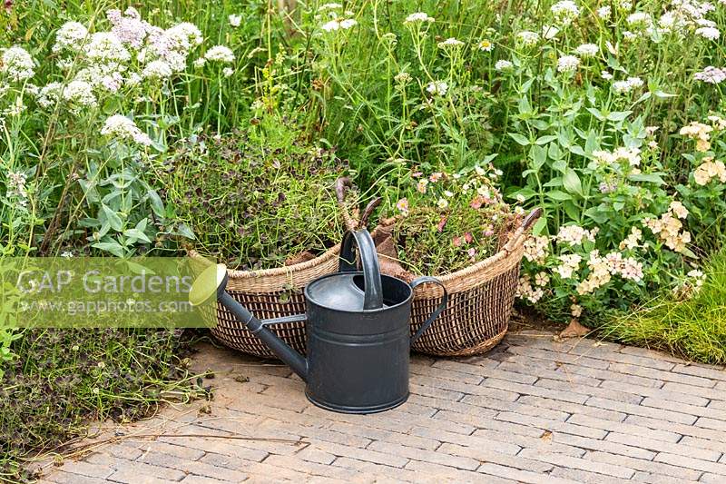 Un jardin naturaliste avec des plantes poussant dans des paniers utilisés comme pots en matériaux naturels. RHS Hampton Court Palace Garden Festival 2019.