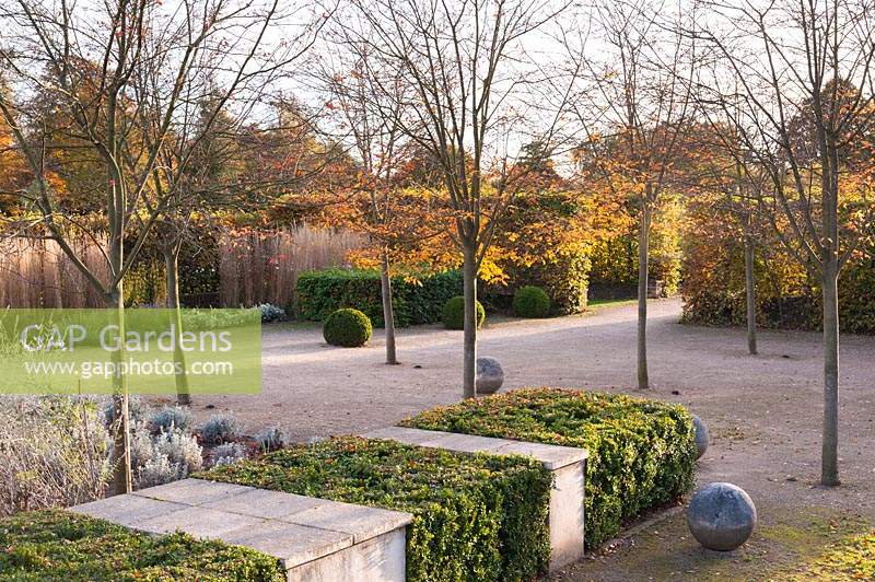 Jardin clos conçu par Brita von Schoenaich mettant en vedette Amelanchier x grandiflora 'Robin Hill', des blocs de boîte taillés, des sphères en pierre et des plantes vivaces et des herbes herbacées au Marks Hall Gardens en automne.