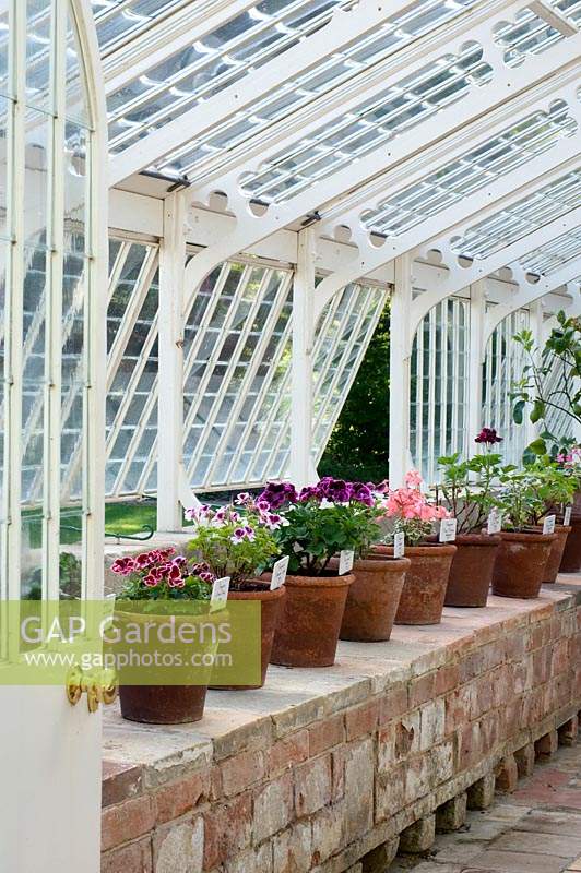 Pots de plantes tendres ont hiverné dans la serre à Hoveton Hall Gardens, Norwich, Royaume-Uni.