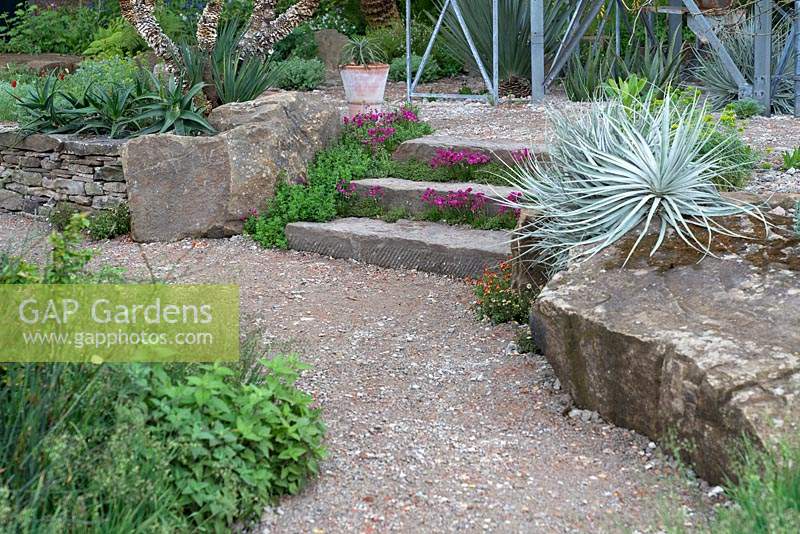 Marches de jardin sculptées dans la roche solide dans le jardin de résilience au RHS Chelsea Flower Show 2019