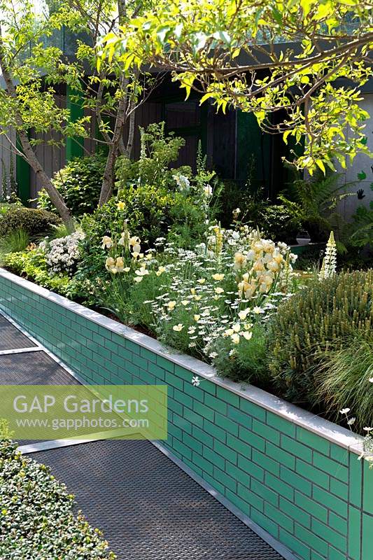 The Greenfingers Charity Garden: Lupins et iris en parterre de fleurs surélevé. Sponsors: Greenfingers Charity. Exposition florale Rhs Chelsea 2019.