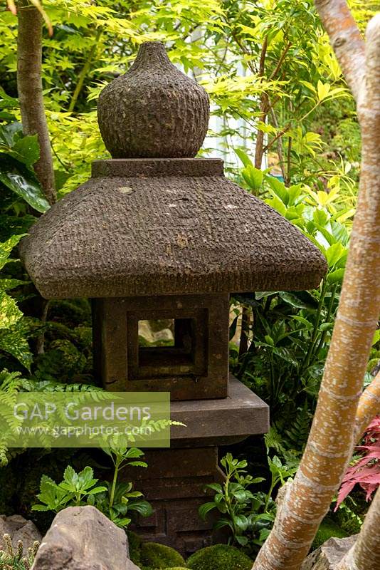 Une lanterne de pierre parmi les troncs d'Acer et l'euphorbe japonaise - Pachysandra terminalis. Le jardin Green Switch. RHS Chelsea Flower Show 2019