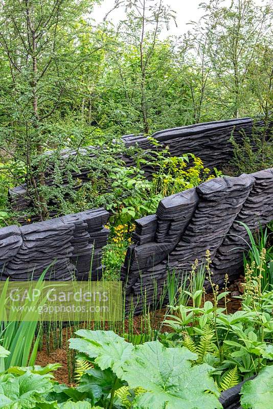 Sculptures en chêne brûlé de Johnny Woodford au milieu de plantes vertes luxuriantes, y compris - Le jardin M et G, RHS Chelsea Flower Show 2019