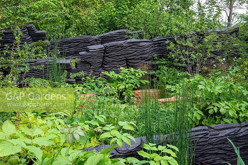 Plantation de bois vert luxuriant - Le jardin M and G, RHS Chelsea Flower Show 2019