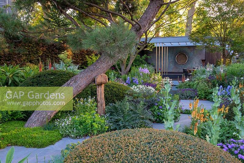 Le Morgan Stanley Garden, RHS Chelsea Flower Show 2019 - Vue de la construction du jardin à travers de Taxus baccata