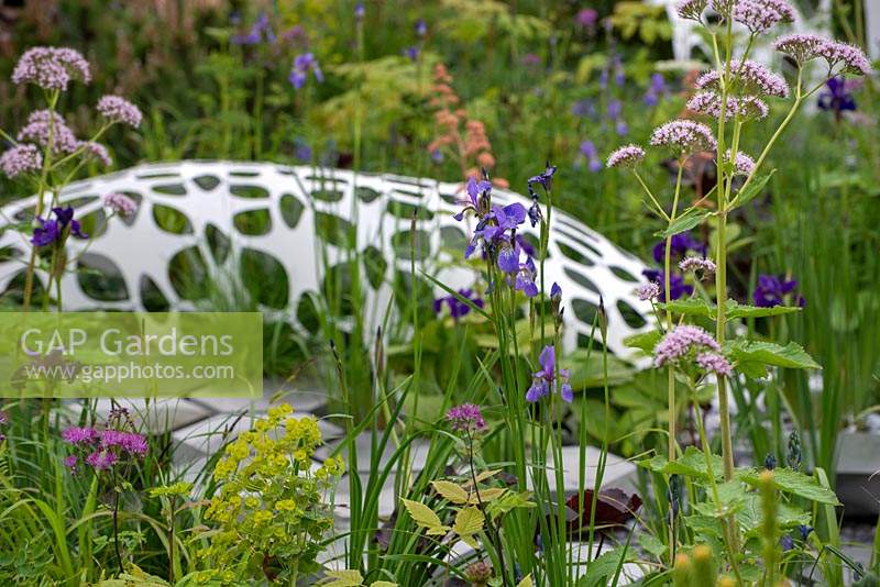 Iris sibirica 'Persimmon' avec Euphorbia et sculpture de Liam Hopkins en arrière-plan - The Manchester Garden, RHS Chelsea Flower Show 2019