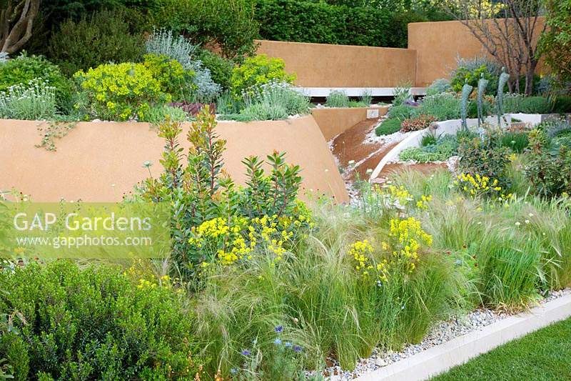 Le Dubai Majilis Garden, vue sur le jardin avec plantation qui comprend Isatis tinctoria, Stipa pennata et Myrtus communis - Sponsor: Dubaï.