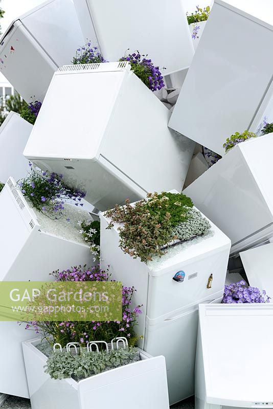 Des réfrigérateurs comme jardinières pour les alpines dans un jardin conceptuel Pointe de l'iceberg - RHS Hampton Court Flower Show 2013 - contributeur: Zanussi.