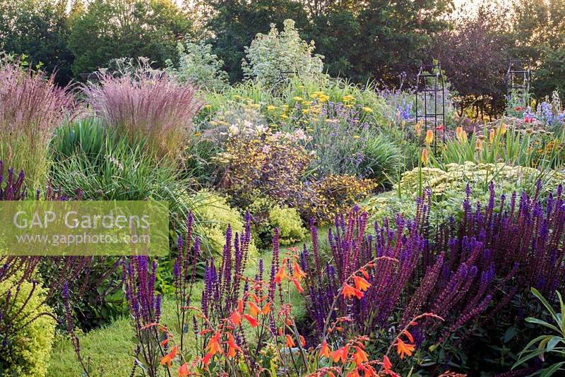 Parterres de fleurs herbacées doubles avec chemin d'herbe. Les plantes comprennent: Achillea, Kniphofia, Verbena bonariensis, Lysimachia cilata 'Firecracker', Hemerocallis, Crocrosmia, Stipa, Salvia nemerosa 'Caradonna'