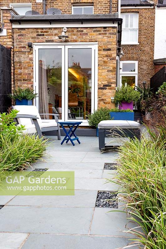 Petit jardin contemporain dans l'ouest de Londres, tourné vers la salle à manger de la cuisine. La plantation comprend Carex Ice Dance, Heuchera Obsidian, avec un canapé de jardin et un tabouret en arrière-plan.