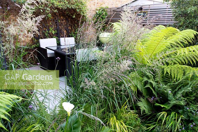 Vue vers un patio et une salle à manger dans un petit jardin tolérant à l'ombre à Londres avec un thème vert. La plantation comprend Calamagrostis x acutiflora Karl Foerster, Dicksonia antarctica, Zantedeschia aethiopica.