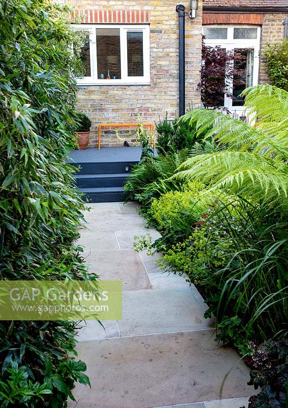 Vue le long d'un chemin pavé en pierre vers la maison dans un petit jardin tolérant à l'ombre à Londres avec un thème vert. À gauche, Black Bamboo, formant un écran à partir de la propriété voisine.