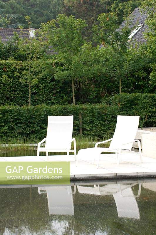 Fauteuils inclinables sur terrasse pavée entourée de piscine dans un jardin moderne.