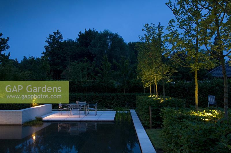 Terrasse pavée entourée d'eau dans un jardin moderne.