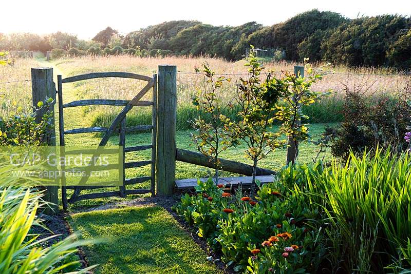 Porte de pâleur simple menant du jardin potager dans le pré à Sea View, Cornwall, UK en juin.