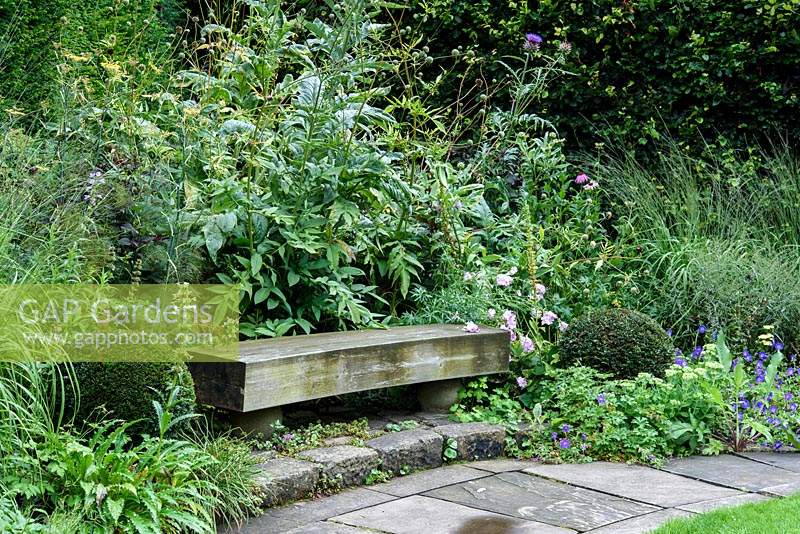 Banc en bois simple dans le jardin de Sybil entouré de boules d'ifs coupés, d'herbes, de géraniums, de Morina longifolia et de fenouil au York Gate Garden, Adel en juillet.