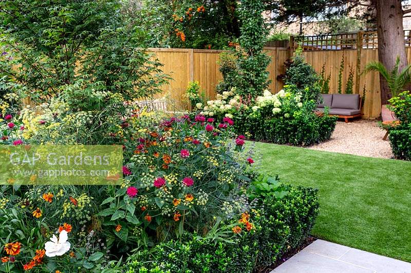 Jardin de l'ouest de Londres avec pelouse artificielle. Avec un parterre de fleurs mettant en vedette Monarda Fire Ball, Acer palmatum, Helenium Moerheim Beauty, Euonymus Jean Hughes, Rosa Renaissance.