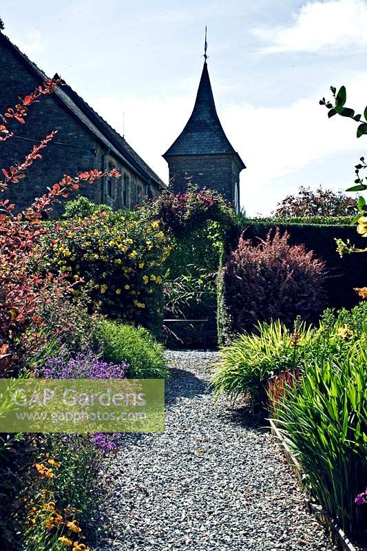 Arbustes mixtes et plantations herbacées dans les parterres de fleurs 'chauds' avec l'église en arrière-plan à Highcroft Garden, Cargreen à Cornwall, Angleterre.