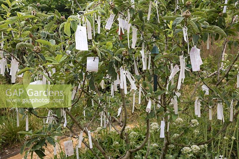 Cultiver les Reves, Grow Your Dreams, Festival International des Jardins 2019, Domaine de Chaumont sur Loire, France. Souhaitant arbre avec étiquettes en papier et souhaits.