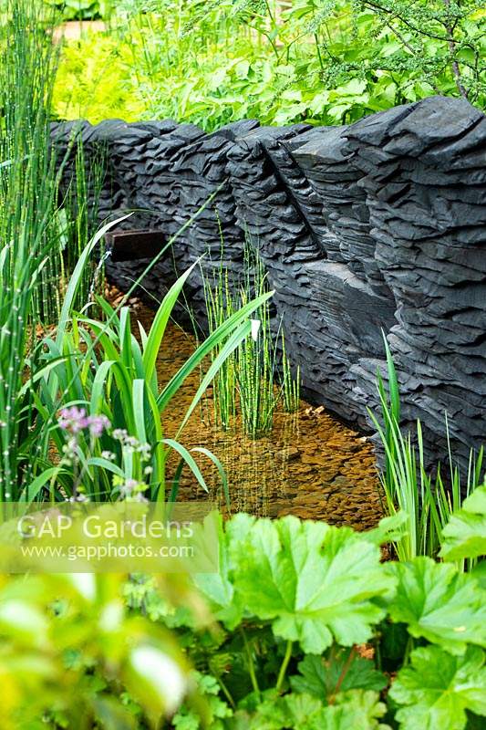 Le jardin M et G, jardin boisé avec du bois de chêne brûlé par Johnny Woodford par le ruisseau avec des plantes marginales dont Equisetum hyemale. Commanditaire: M et G, RHS Chelsea Flower Show 2019.