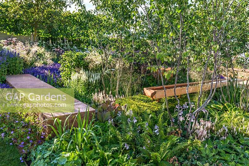 Plantation mixte comprenant la verveine, la népéta, la lavande pourpre et le bleu dans le jardin Vista de Vestra Wealth au RHS Hampton Court Flower Show 2014