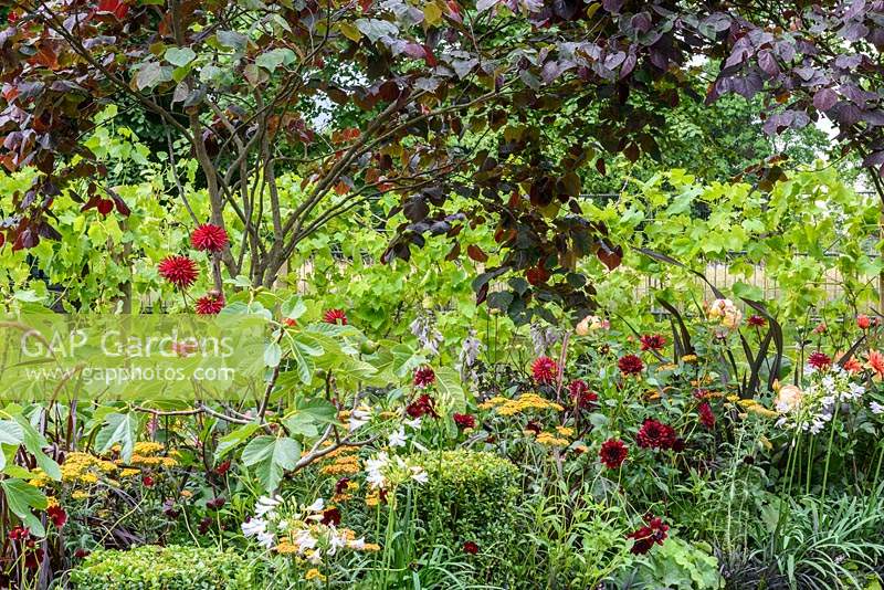 Parterres d'été dans le jardin de Bachus. RHS Hampton Court Flower Show 2014.