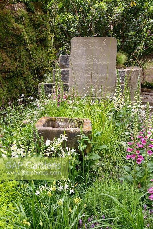 Pierre tombale et abreuvoir parmi les digitales, l'acquilegie et l'agapanthe dans le jardin The Evaders au RHS Chelsea Flower Show 2015 - Sponsor: Chorley Council