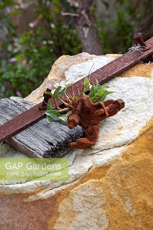 Un vieux morceau de bois avec des raccords en métal rouillé comme décoration au sommet d'un grès avec une orchidée de roche rose.