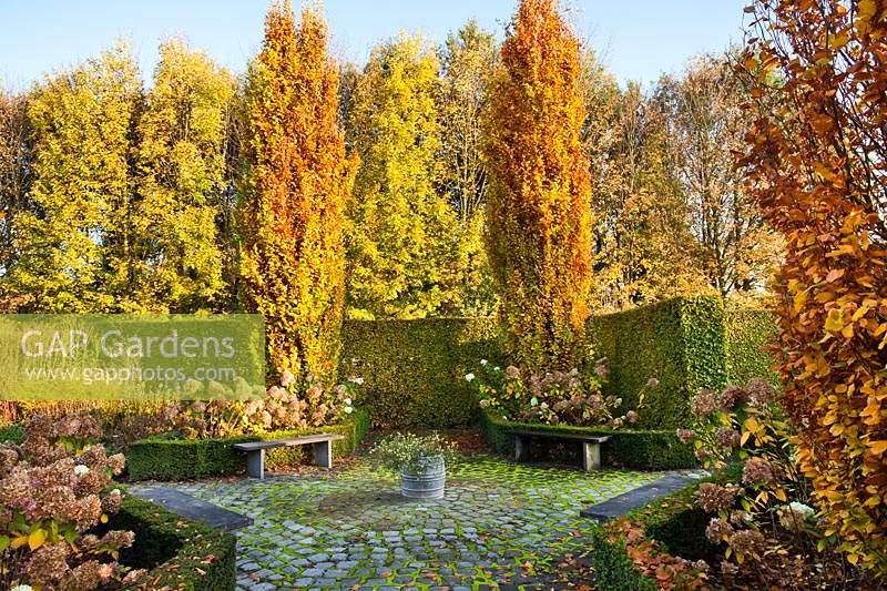 Jardin à la française avec dallage circulaire, haies, espace détente et paire de Fagus sylvatica 'Dawyck Gold'