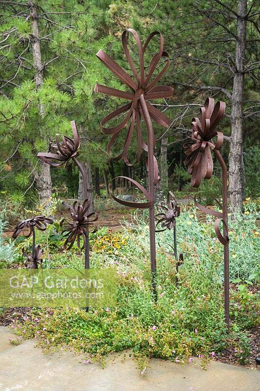 Fleurs artisanales en métal sous Pinus nigra - Pin d'Autriche - avec couvre-sol