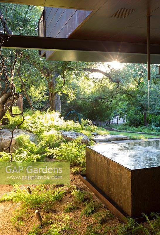 Pièce d'eau moderne en cuivre sur terrasse avec jardin de gravier sous une maison contemporaine, bois au-delà