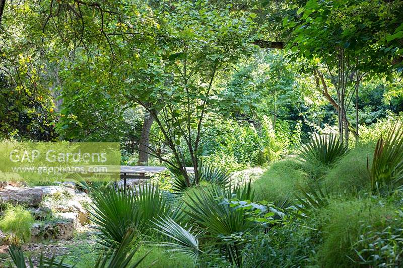 Vue sur les feuilles de palmier au jardin boisé avec des rochers et une passerelle surélevée