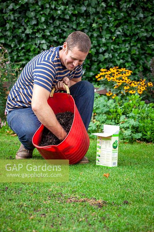 Mélanger les semences de graminées avec du compost et les disperser sur une pelouse