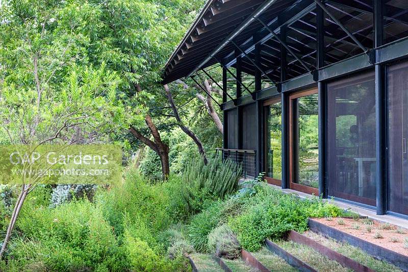 Vue d'une maison moderne par jardin boisé à Mill Creek Ranch à Vanderpool, Texas conçu par Ten Eyck Landscape Inc, juillet.