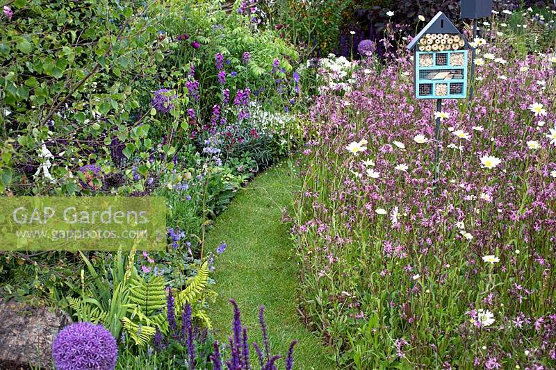 'RHS Garden for Wildlife Wild Woven '- RHS Chatsworth Flower Show 2019 - chemin d'herbe sinueuse à travers des parterres de fleurs sauvages.