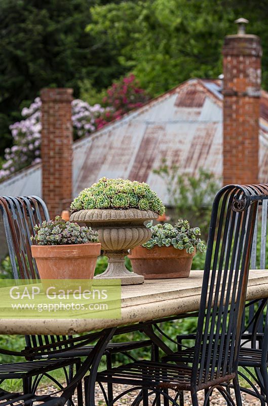 Table en béton coulé avec chaises en métal, plantes succulentes en pot comme décoration de table. Sedum en pots et la plus grande urne est plantée d'Echeveria
