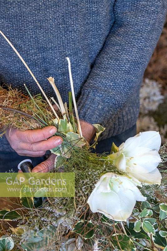 Câblage de l'homme en fleurs d'Amaryllis blanc frais