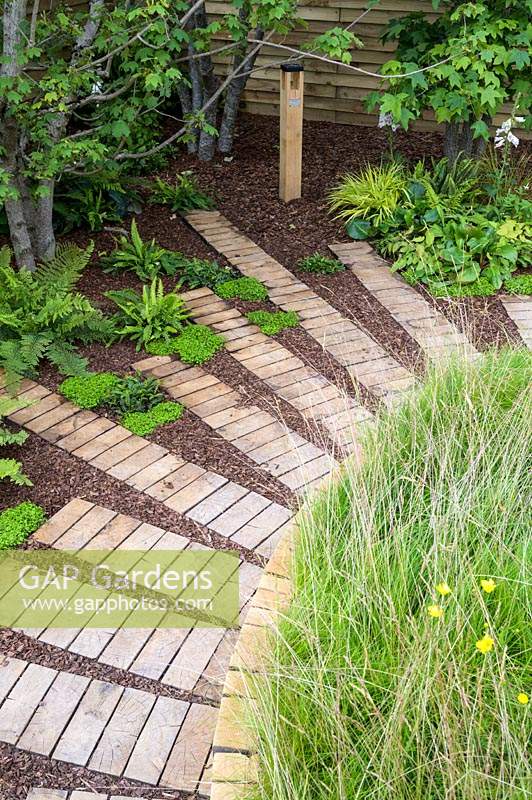 Plantes couvre-sol: Polystichum polyblepharum, Blechnum spicant, Soleirolia soleirolii et Hakonechloa macra 'Aureola' le long d'un chemin incurvé d'écorce et de rondins tranchés à Believe in Tomorrow Garden - RHS Hampton Court Palace Garden Festival 2019