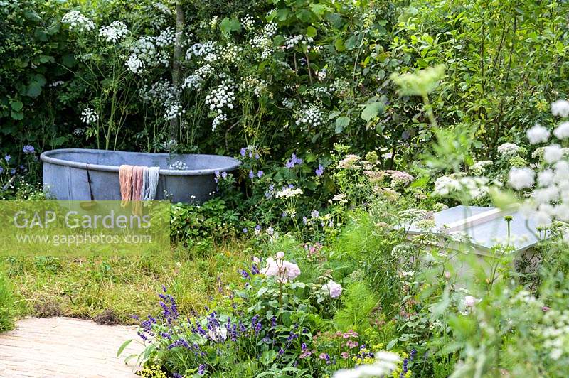 Plantation naturaliste avec Amni majus et ancienne baignoire. Le jardin Naturecraft. RHS Hampton Court Palace Garden Festival, 2019.