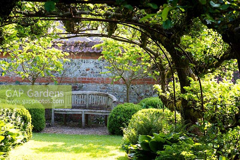 Vue sur banc en bois de pergola, recouvert de pommes formées dans le jardin tunnel à Heale Garden, Wiltshire, Royaume-Uni.