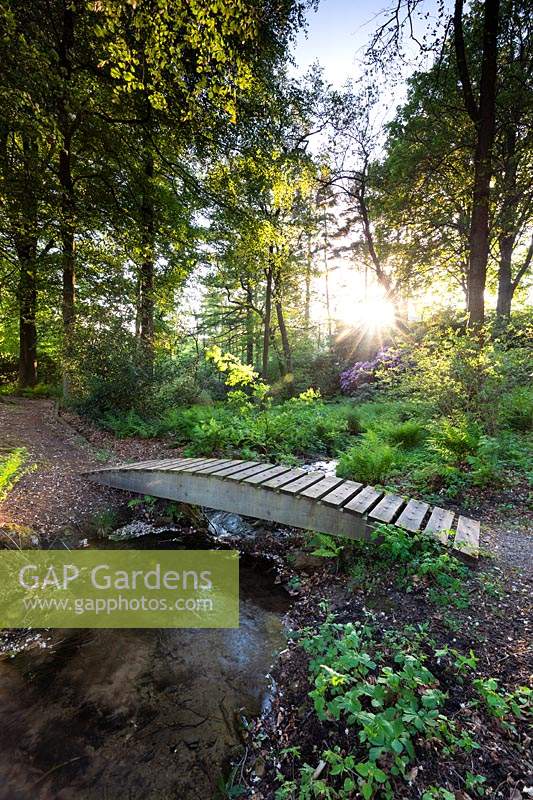 Pont sur Tarn Ghyll Beck dans le bois de Tarn Ghyll à Parcevall Hall Gardens, Yorkshire, UK.