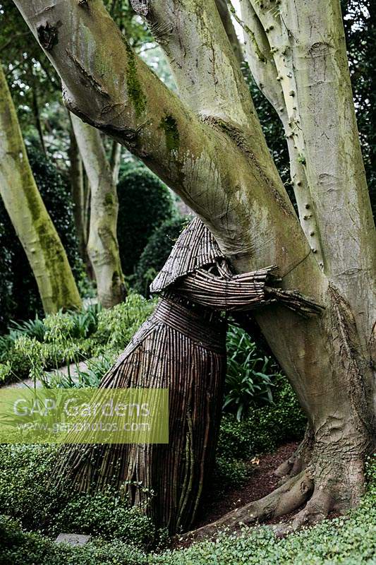 Personnes en osier hugger arbre par Agnieszka Gradzik et Wiktor Szostalo couvert de Muehlenbeckia compactus. Les Jardins d Etretat, Normandie, France